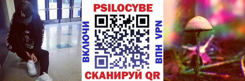 Псилоцибиновые грибы Psilocybine cubensis Юрьевец